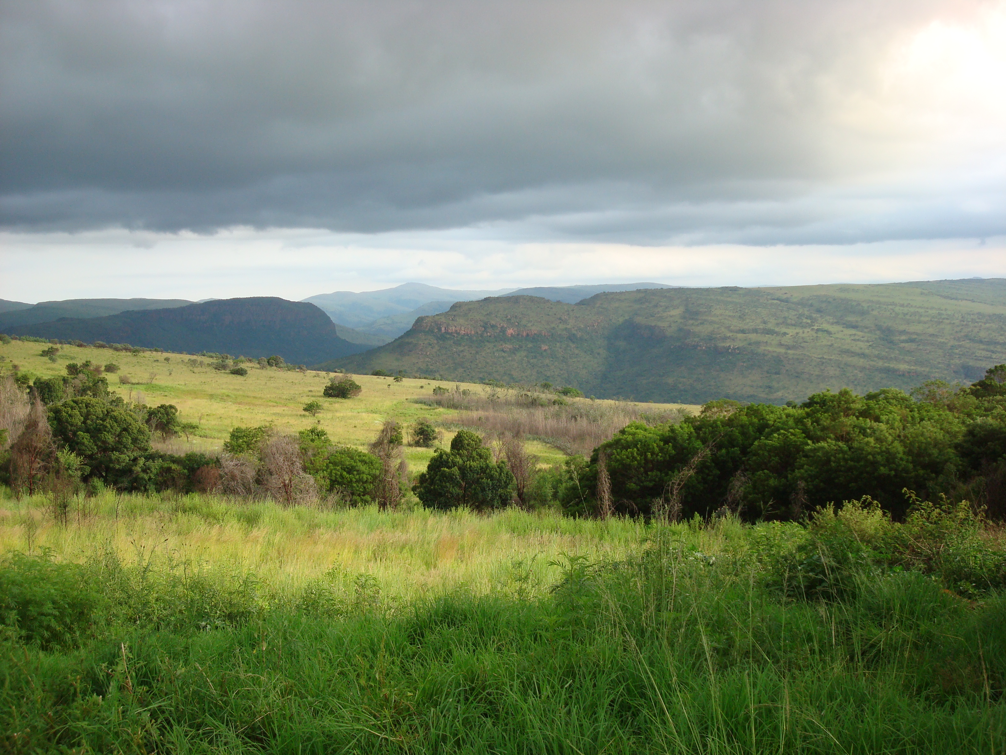 Rainy Season Green