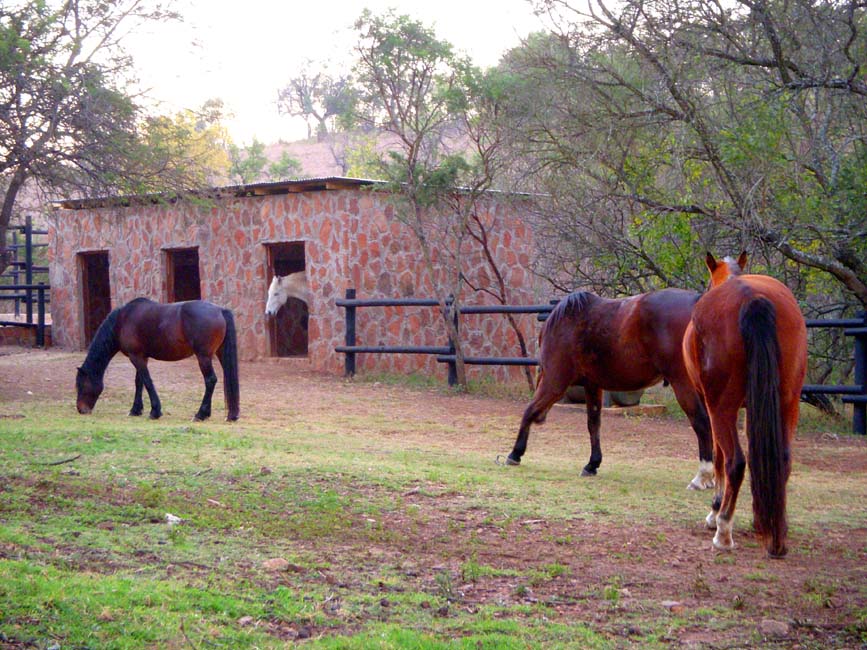 Stables