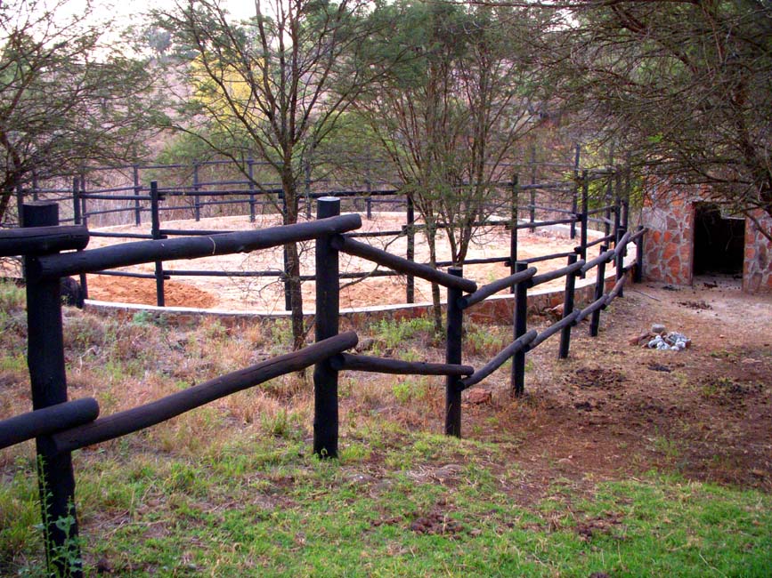 Training Ring