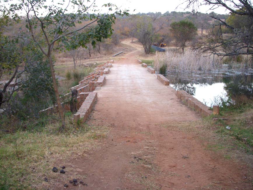 Bridge - Another View